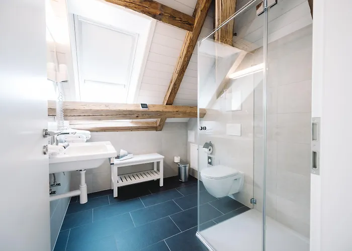 Hotel-restaurant La Croix D'or Hotel