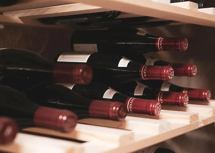 Hotel Hotel-restaurant La Croix D'or